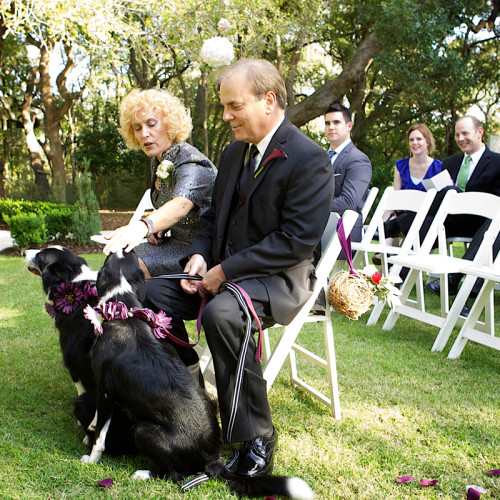 Pet Friendly Wedding Venue