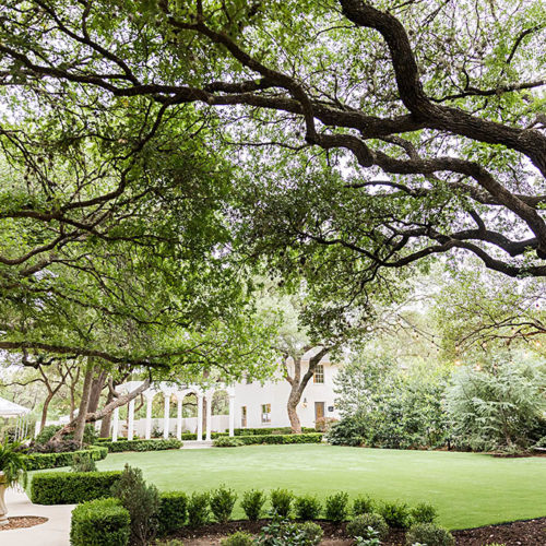 Outdoor Garden Wedding